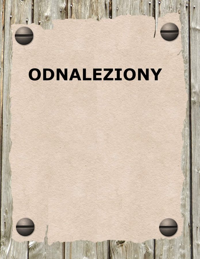 Odnaleziony Odnaleziony