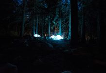 „Zanocuj w lesie” – od 1 maja legalny bushcraft Zanocuj w lesie - bushcrafting