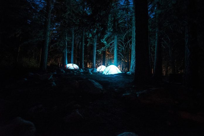 Zanocuj w lesie - bushcrafting
