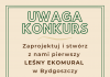 Mural na Błoniu – ogłoszono konkurs Konkurs na mural przy Szubińskiej 22