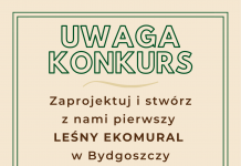 Mural na Błoniu – ogłoszono konkurs Konkurs na mural przy Szubińskiej 22