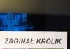 Poszukiwania Królika – rodzina poszukuje „opiekuna” Poszukiwania Królika z Okrzei