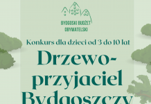 Konkurs „Drzewo-przyjaciel Bydgoszczy” Drzewo - przyjaciel Bydgoszczy