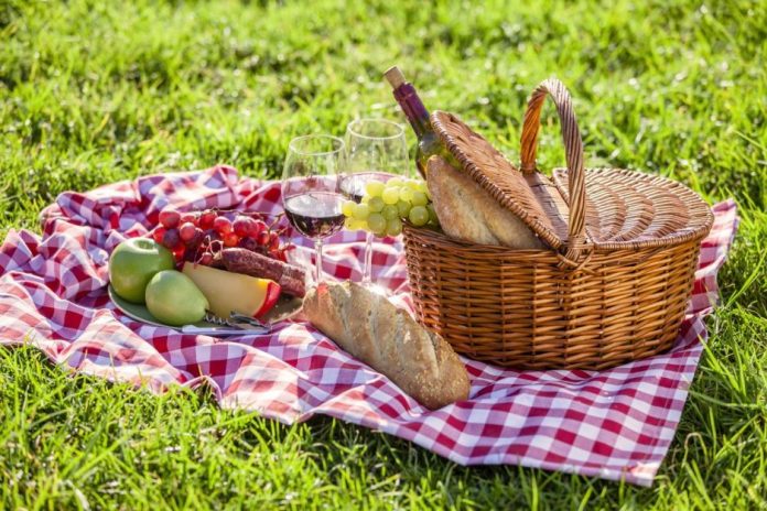 Piknik w Ostromecku
