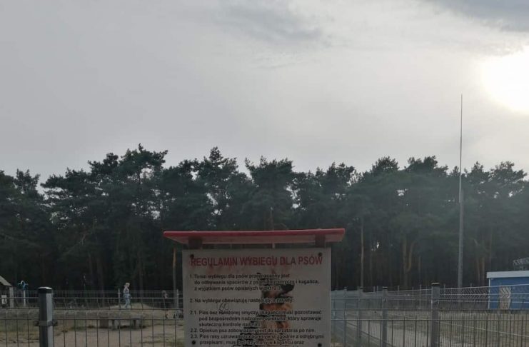 Wybieg dla psów Wybieg dla psów
