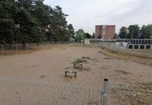 Wybieg dla psów – czworonogi z Błonia zyskają nowe atrakcje 2022 Wybieg dla psów