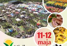 Lato na wsi 2024 – Święto Smaku i Tradycji Lato na wsi 2024