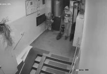 Kradzież hulajnogi przy ul. Szubińskiej Kradzież hulajnogi przy ul. Szubińskiej