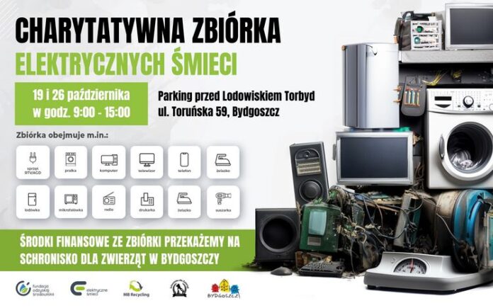 Elektroodpady Wielkiej Wagi: Pomoc Dla Bydgoskiego Schroniska