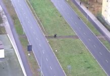 Działania „Bezpieczny pieszy” w Bydgoszczy Działania "Bezpieczny pieszy" w Bydgoszczy