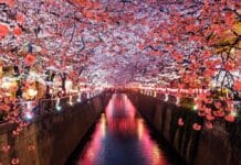Co warto zobaczyć na wakacjach w Japonii? Najciekawsze miejsca Japonii Co warto zobaczyć na wakacjach w Japonii? Najciekawsze miejsca Japonii