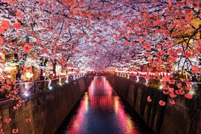 20251128133903_download Co warto zobaczyć na wakacjach w Japonii? Najciekawsze miejsca Japonii