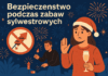 Bezpieczeństwo w Sylwestra 2025 Bezpieczeństwo w Sylwestra 2025
